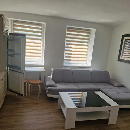 Guest house - Ruska 393 - 110 *
